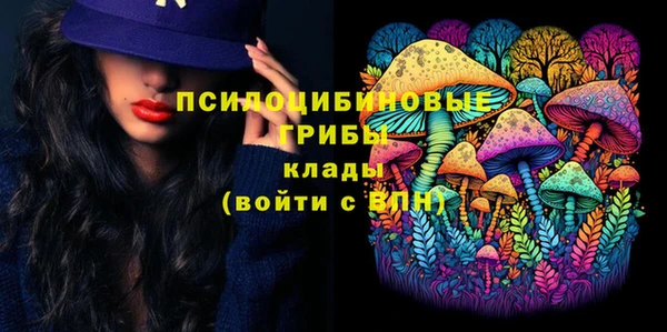 спиды Алексеевка