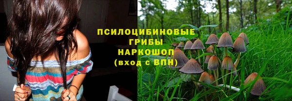 спиды Алексеевка