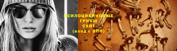 мескалин Алексин
