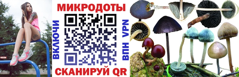 цены   Черепаново  Псилоцибиновые грибы ЛСД 